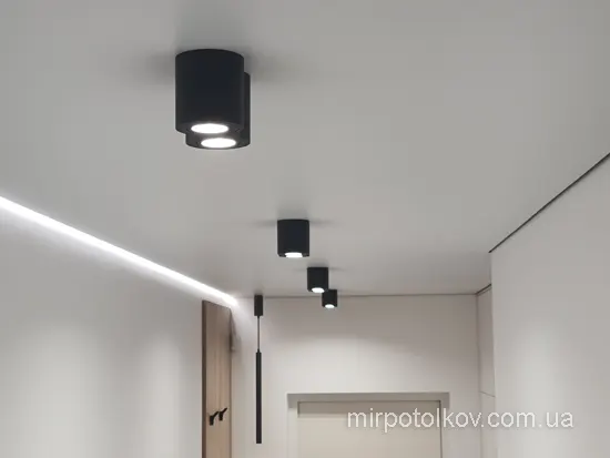 накладные точечные светильники бочечками в потолке